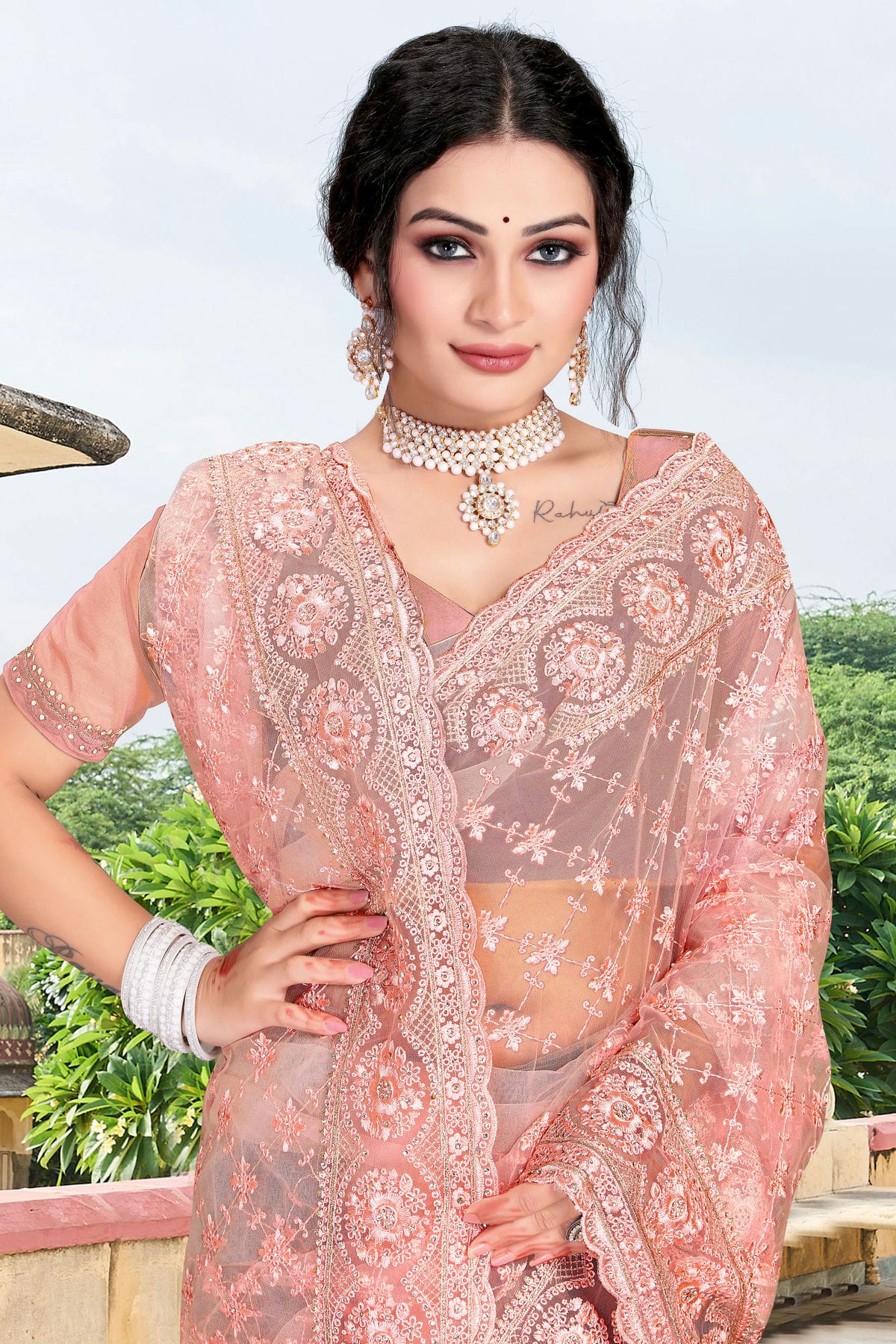 Peach Colour Net Saree VSSD1090743