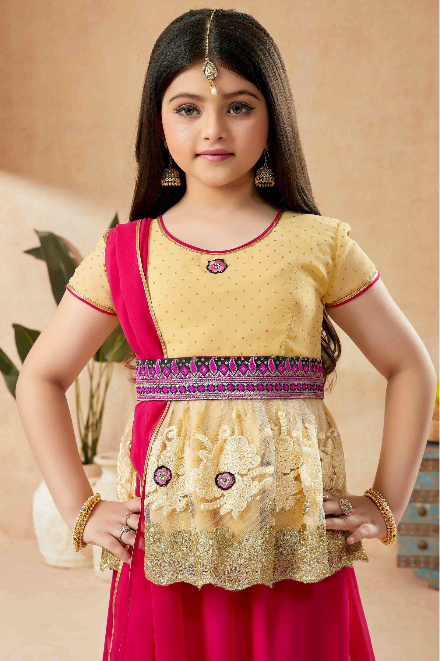 Beige Colour Net Lehenga Suit VSGW1070776