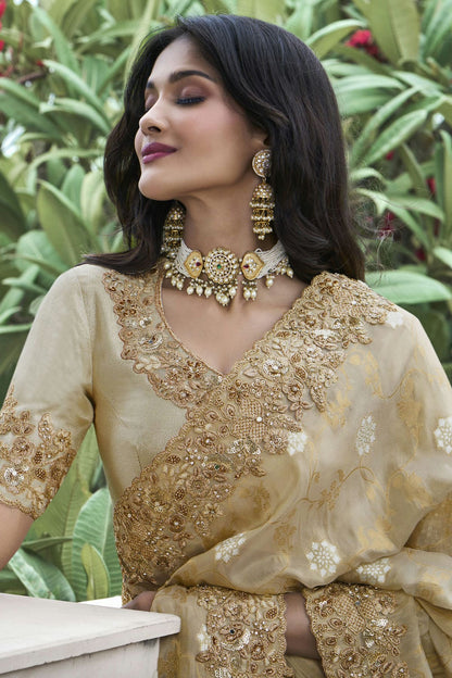 Beige Colour Tissue Silk Designer Saree