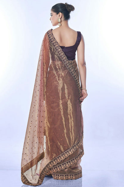 Brown Colour Net Designer Saree