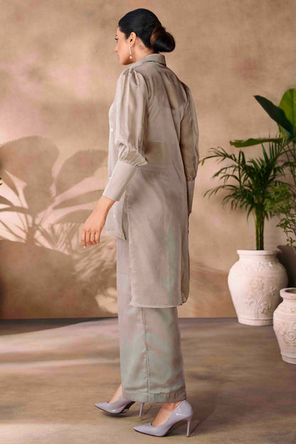 Grey Colour Organza Co-Ord Set VSTP1080953