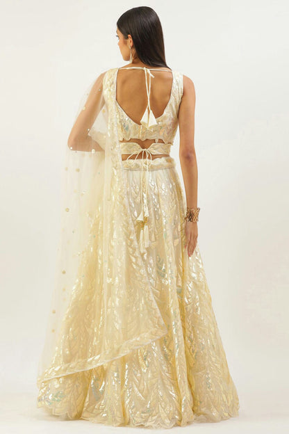 Light Yellow Colour Soft Net Lehenga Choli VSLC1010303