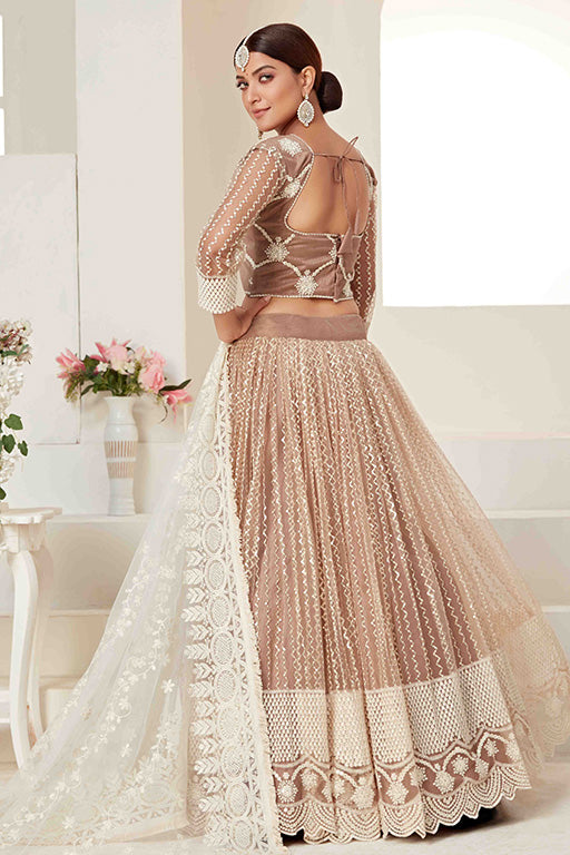 Beige Colour Net Designer Lehenga Choli VSLC1240022