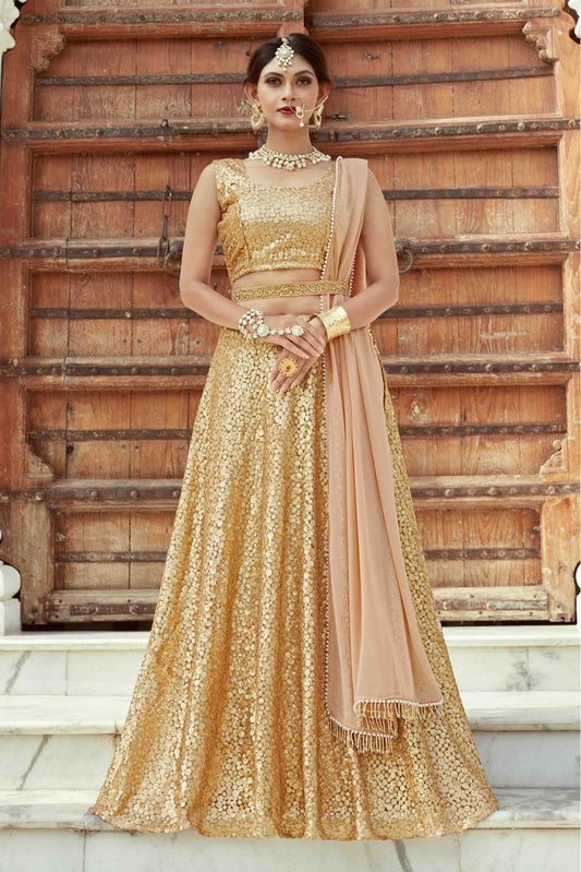 Beige Colour Soft Net Embroidery Lehenga Choli VSLC1080405