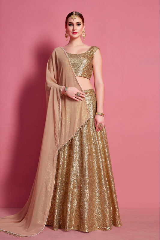 Beige Colour Soft Net Embroidery Lehenga Choli VSLC1080501