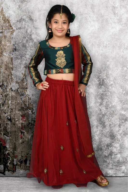 Maroon Colour Net Embroidery Lehenga Choli VSGW1070047